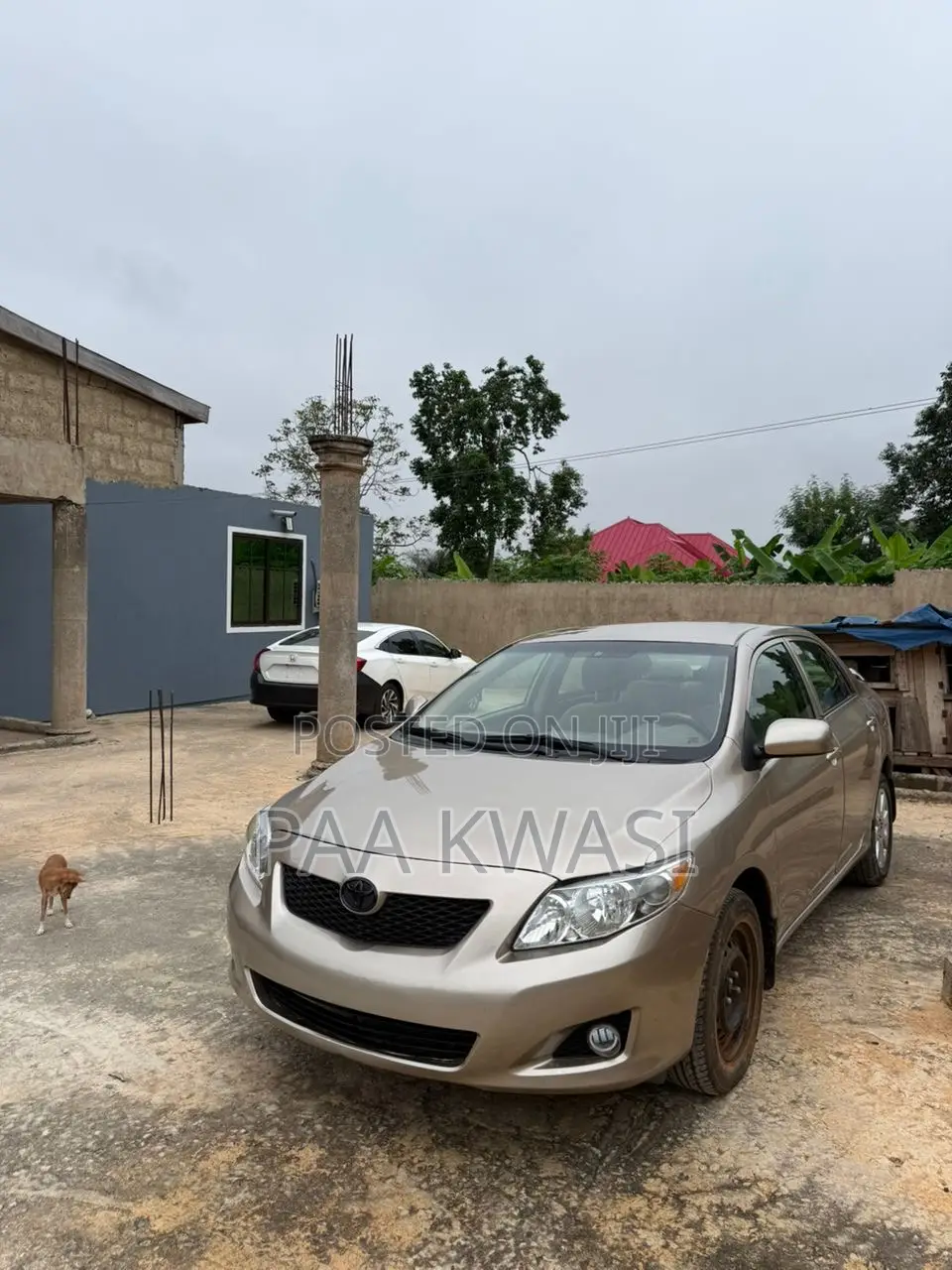 Toyota Corolla S 4dr Sedan (1.8L 4cyl 4A) 2010 Gray