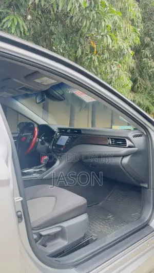 Toyota Camry LE (2.5L 4cyl 8A) 2019 Silver