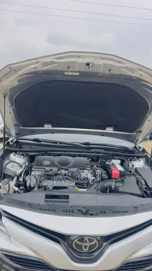Toyota Camry LE (2.5L 4cyl 8A) 2019 Silver