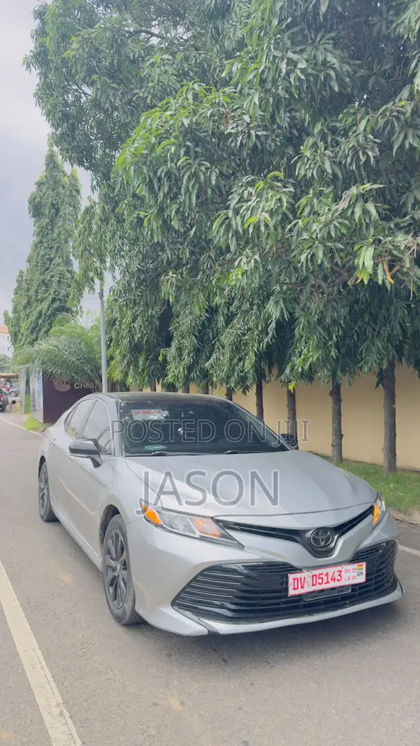 Toyota Camry LE (2.5L 4cyl 8A) 2019 Silver