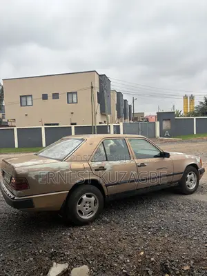 Mercedes-Benz W124 1996 Gray