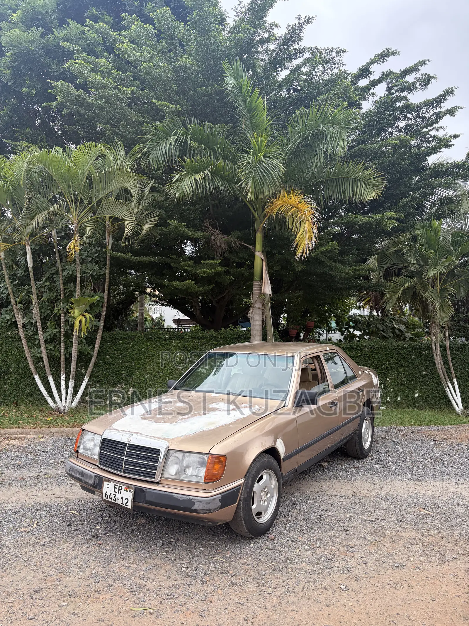 Mercedes-Benz W124 1996 Gray