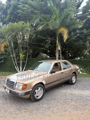 Mercedes-Benz W124 1996 Gray