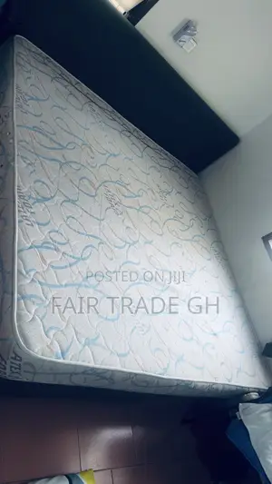 Latex Foam
