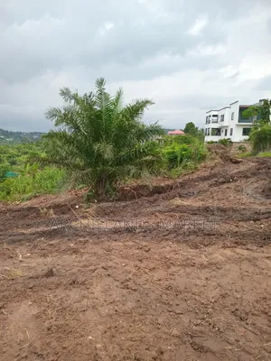 Secure a Land Available at Konkonuru