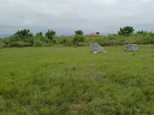 Flexible Land Ownership Plan