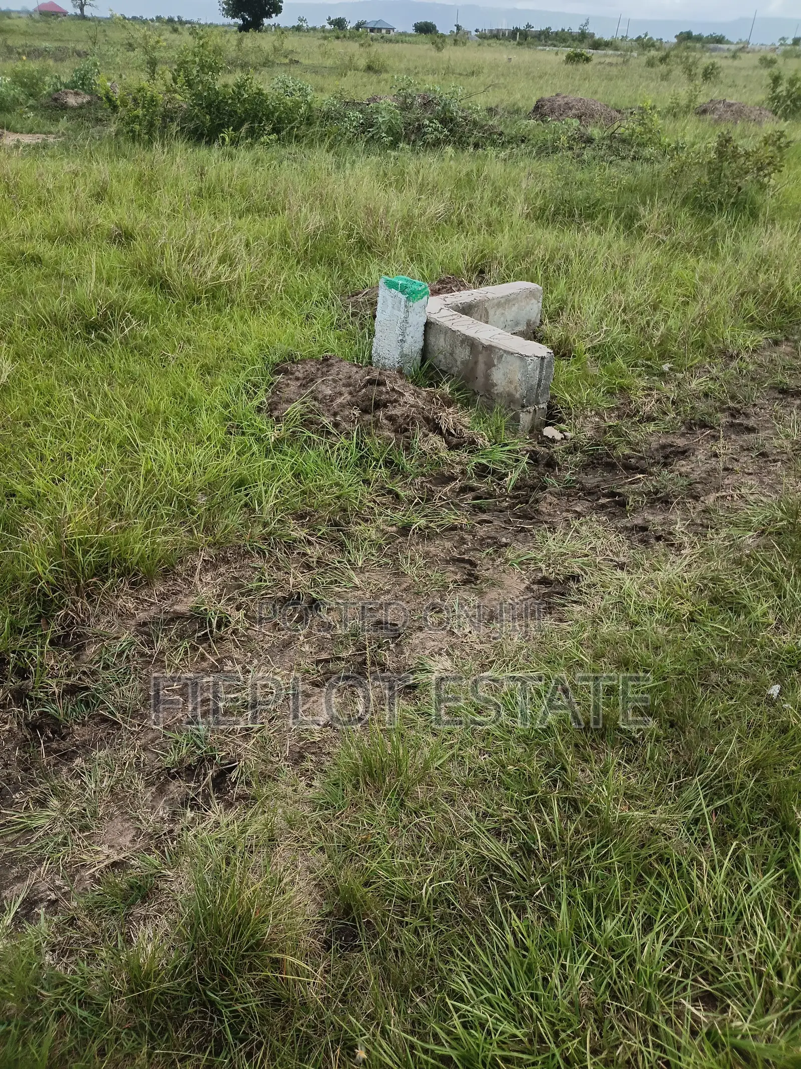 Your Chance to Own Land
