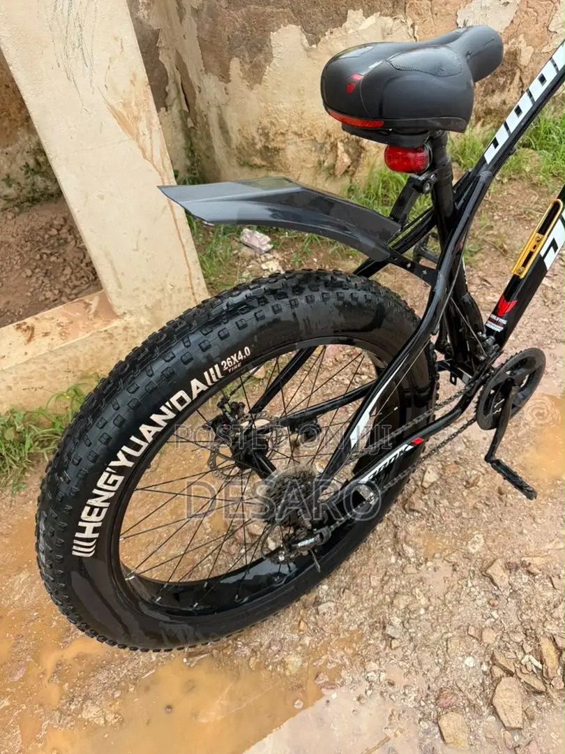 Fat Tire Bike