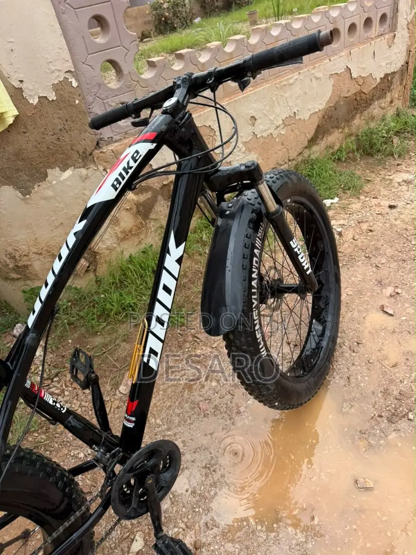 Fat Tire Bike