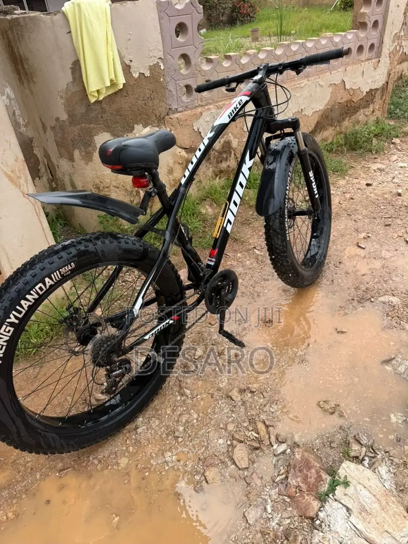 Fat Tire Bike