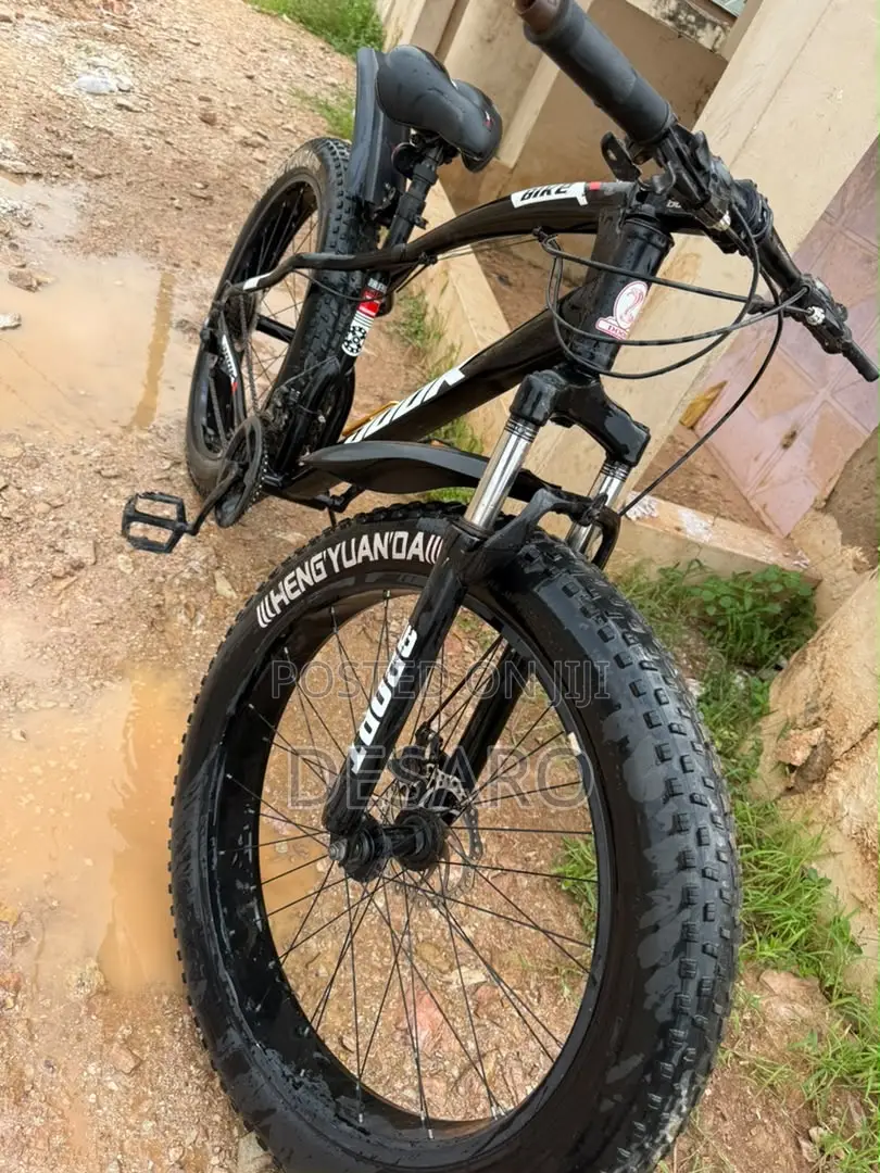 Fat Tire Bike