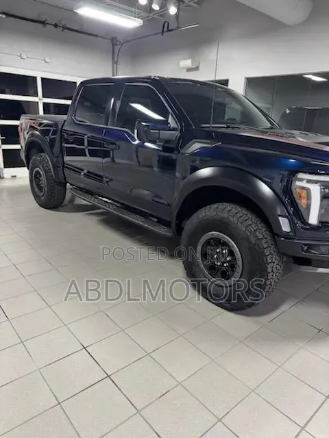 New Ford F-150 2025 Gray