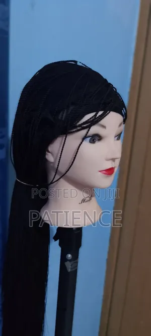 Women's Micro Braids Lace Front Wig