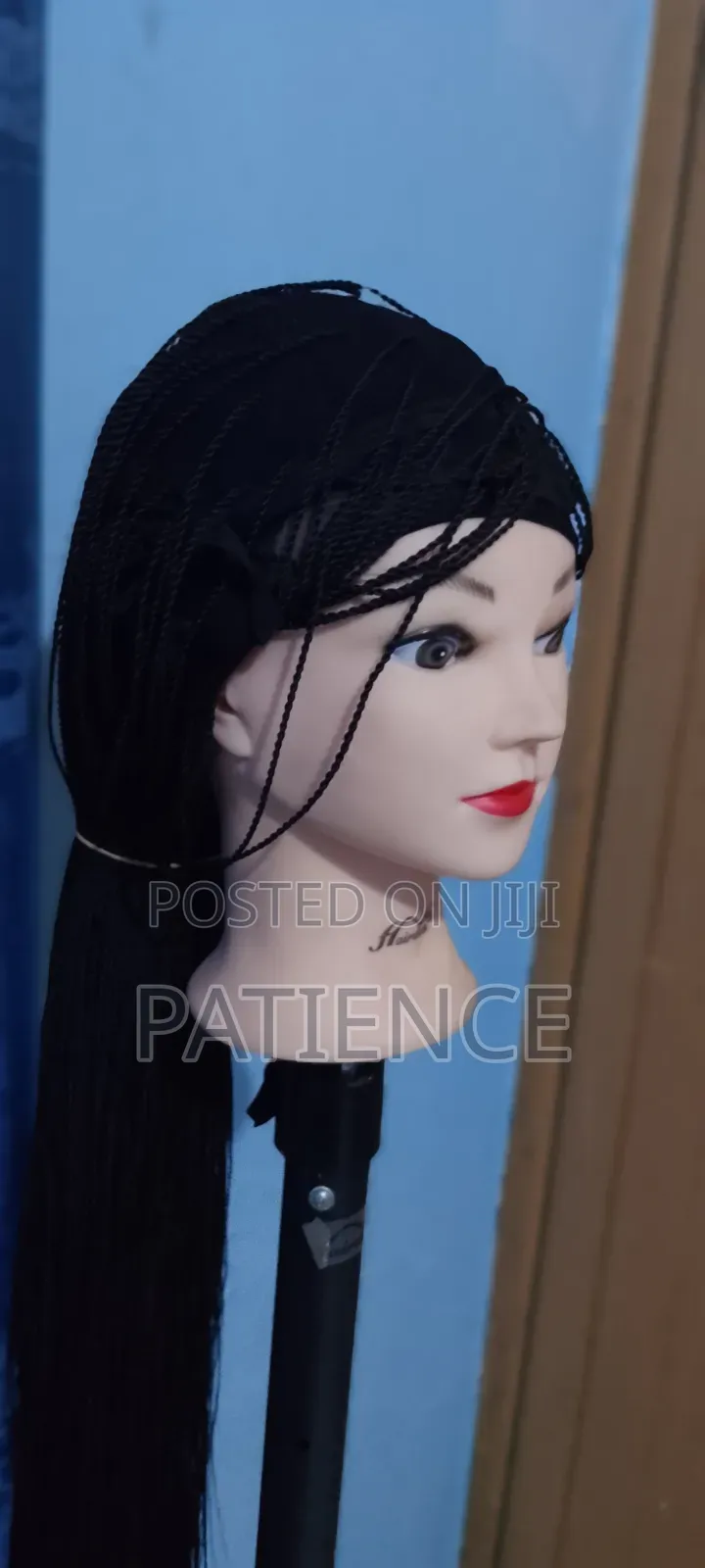 Women's Micro Braids Lace Front Wig