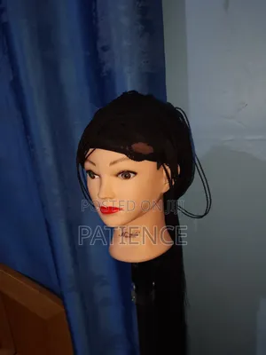 Women's Micro Braids Lace Front Wig