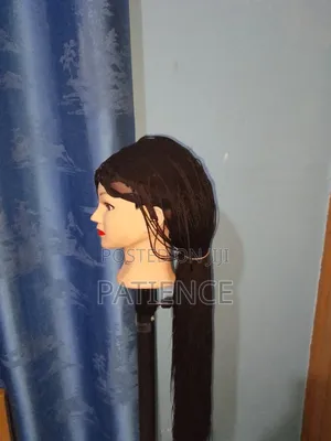 Women's Micro Braids Lace Front Wig