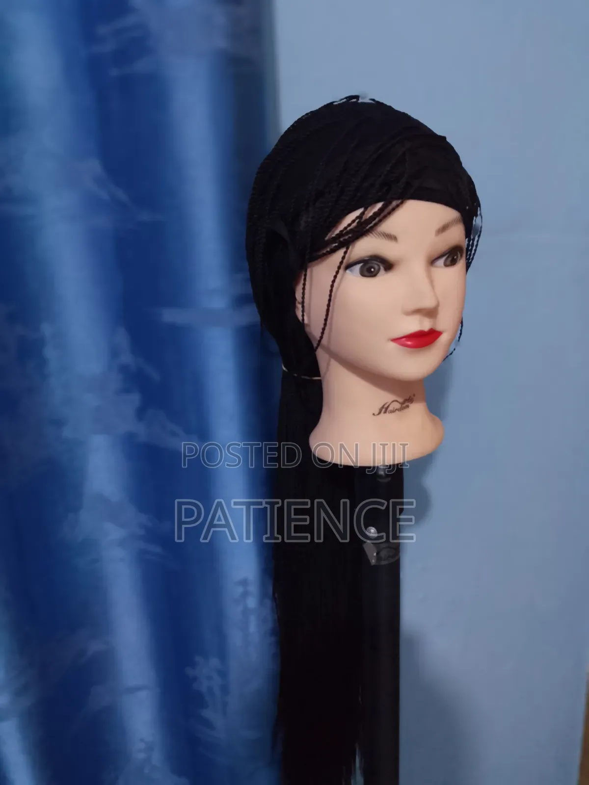 Women's Micro Braids Lace Front Wig