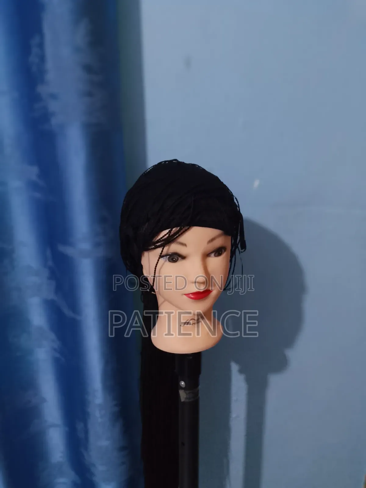 Women's Micro Braids Lace Front Wig