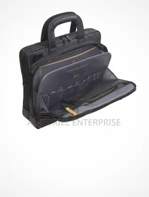 Targus Bag