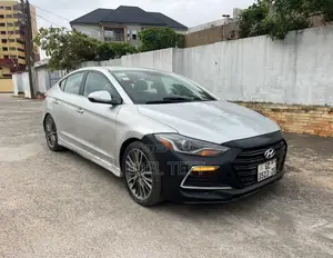 Hyundai Elantra 2017 Gray