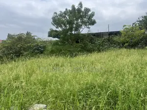 Half Plot at Ablekuma-Nsakina