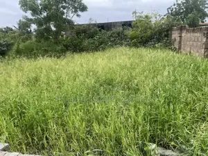 Half Plot at Ablekuma-Nsakina