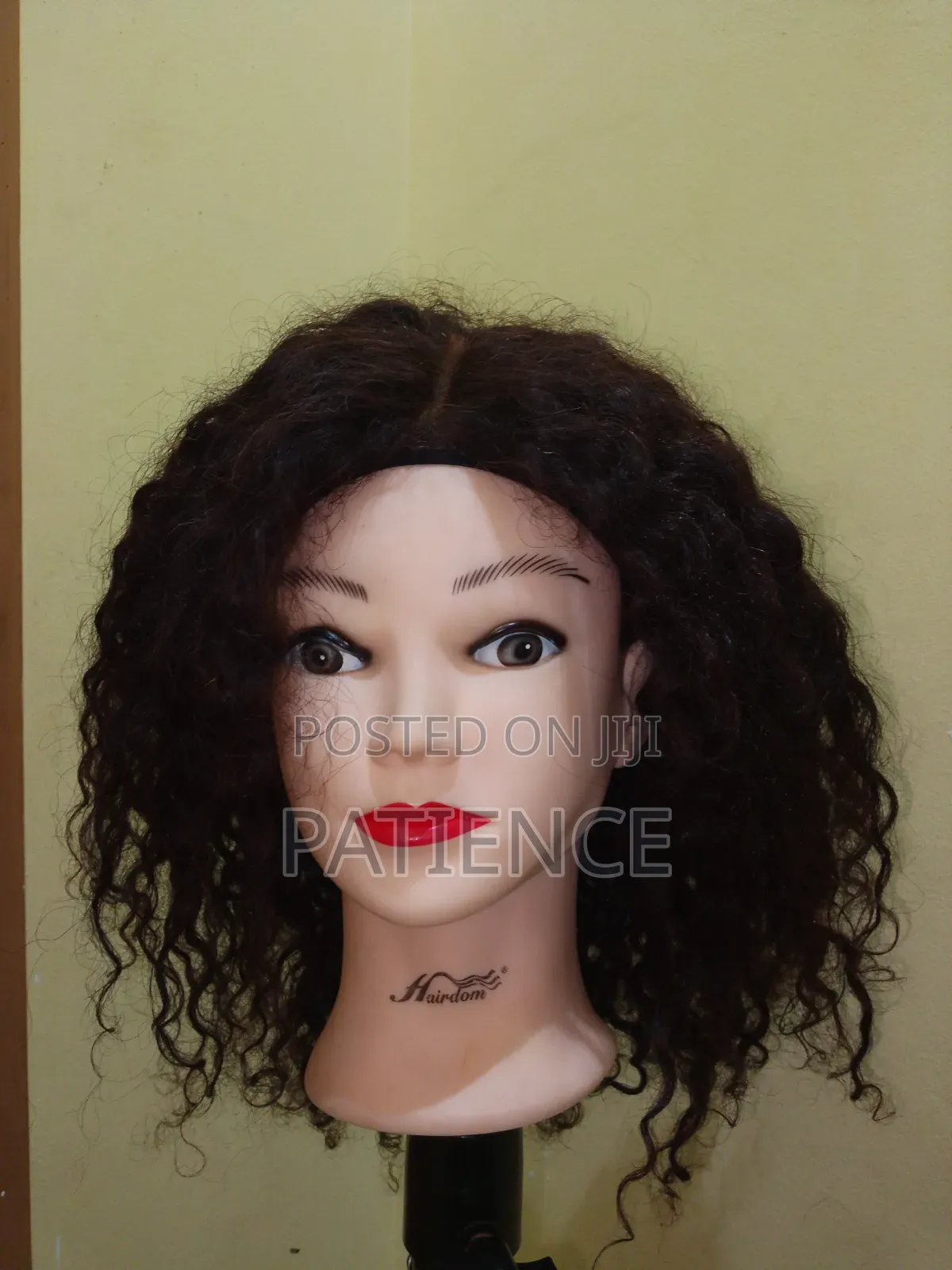 Curly Women's Wig