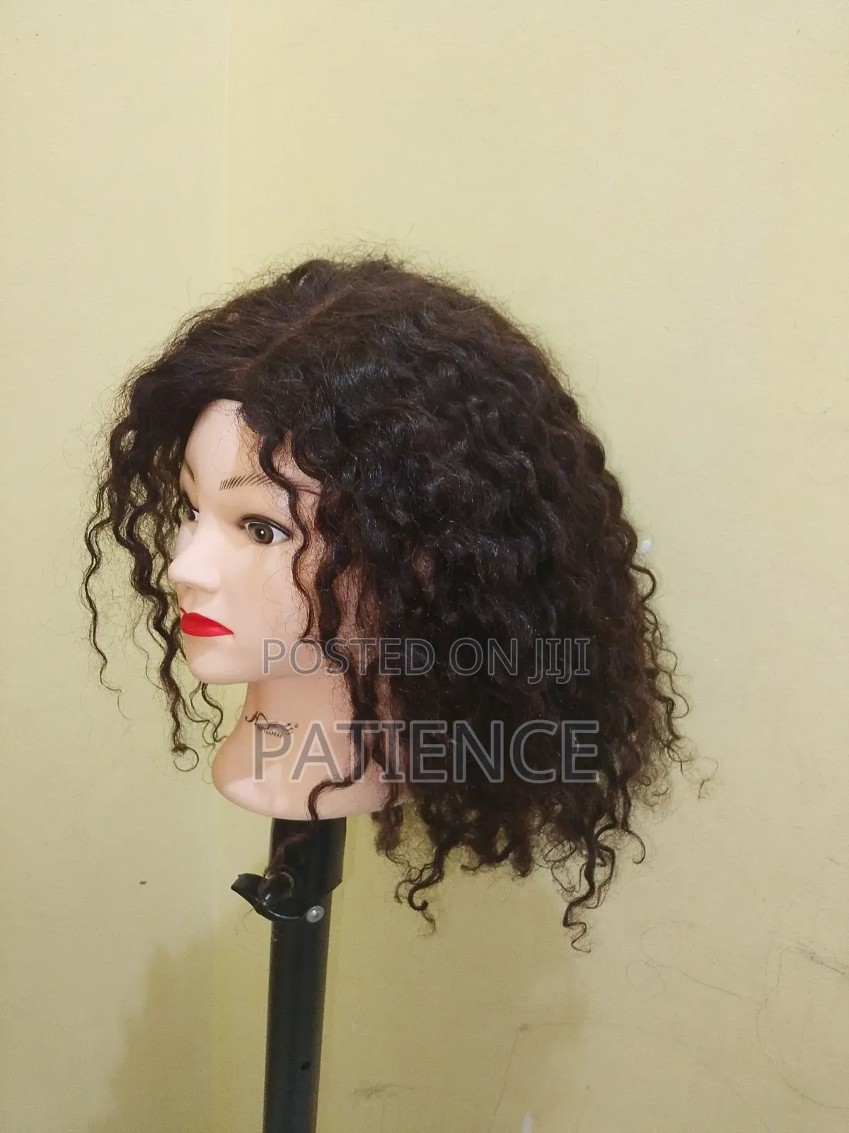 Curly Women's Wig