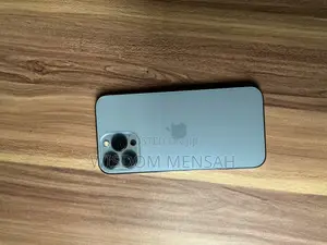 Apple iPhone 13 Pro Max 256 GB Gray