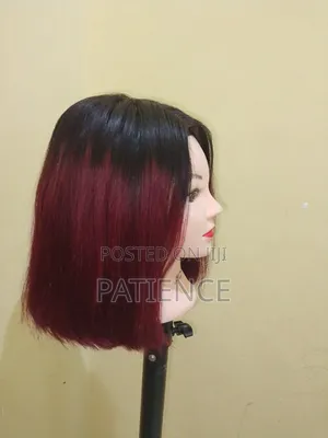 Double Drawn Women's Wig Hair