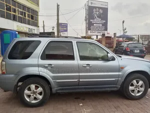 Ford Escape XLT 4WD 2009 Gray