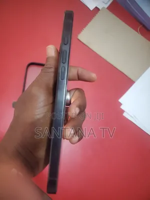 Apple iPhone 16 Pro Max 256 GB Black