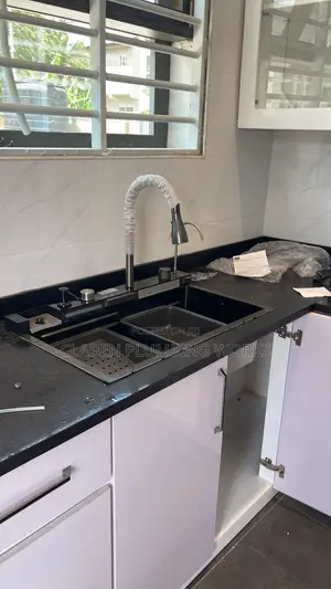 Professional Plumber