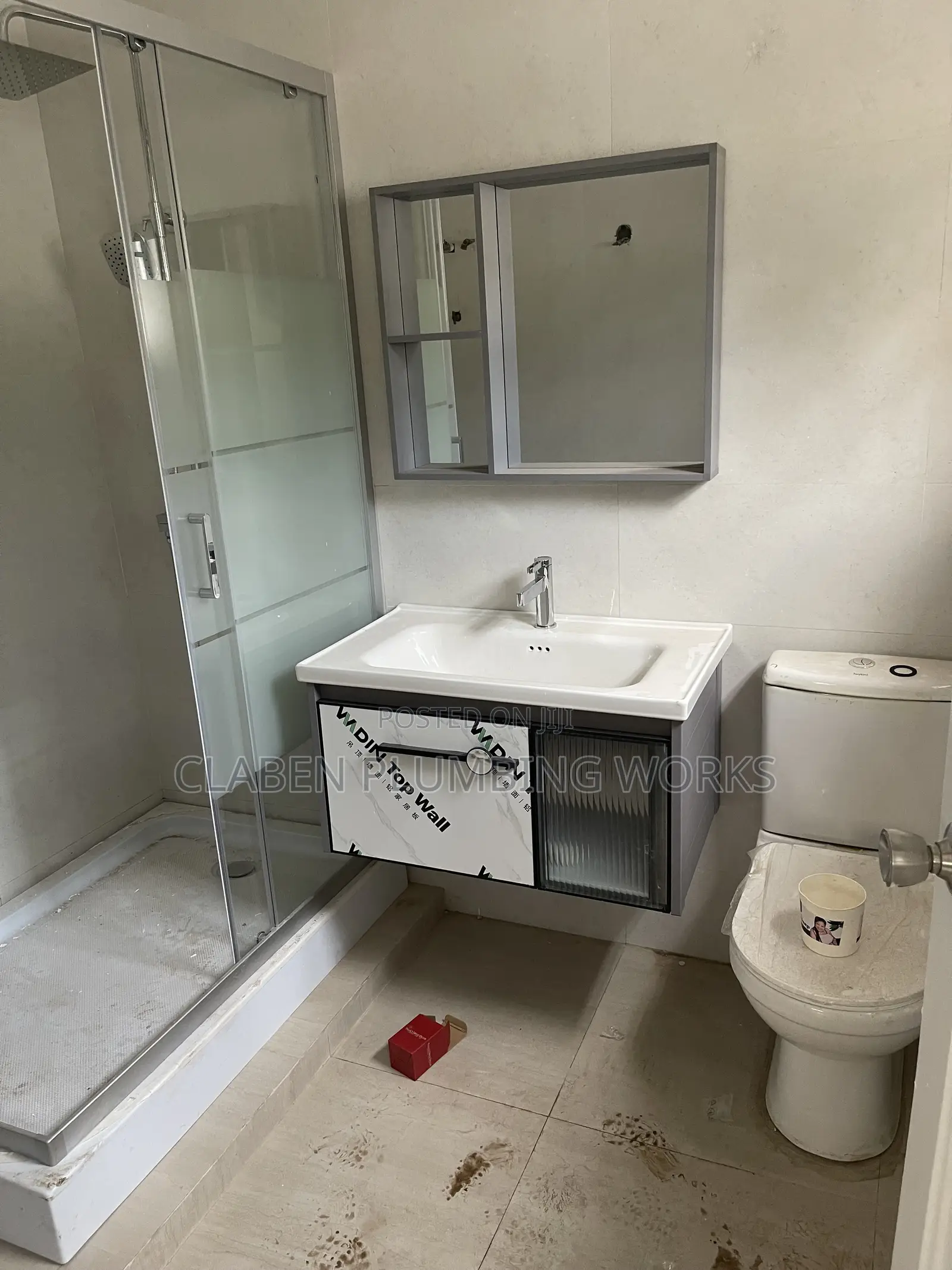 Professional Plumber