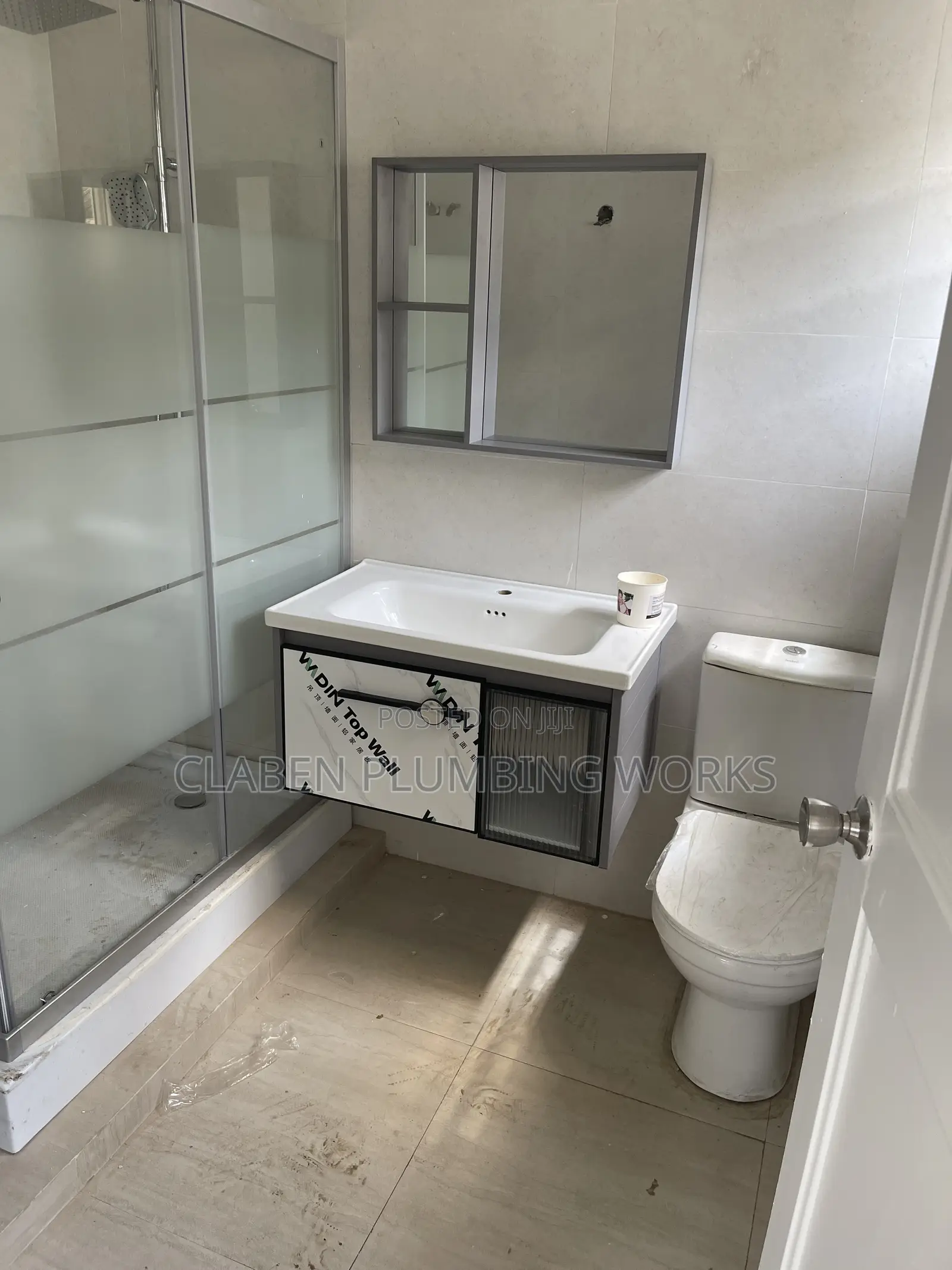 Professional Plumber