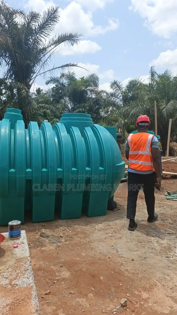 Professional Plumber