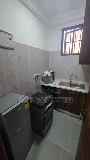 Furnished 1bdrm Apartment in Parakuo Estates, School Area for rent