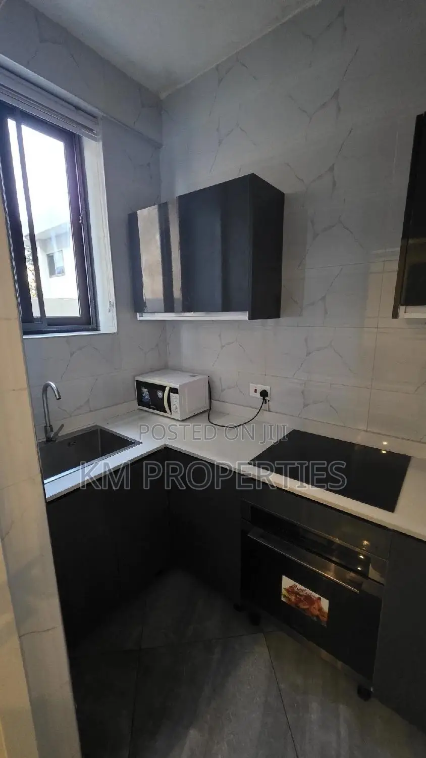 Furnished 1bdrm Apartment in Dzorwulu for rent