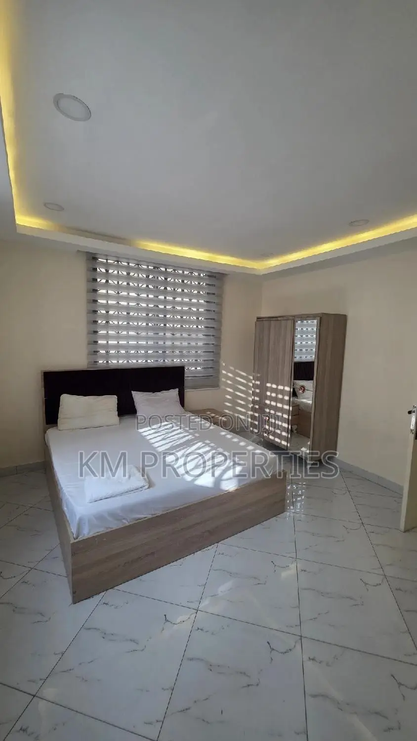 Furnished 1bdrm Apartment in Dzorwulu for rent