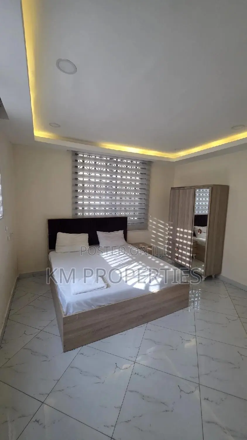 Furnished 1bdrm Apartment in Dzorwulu for rent