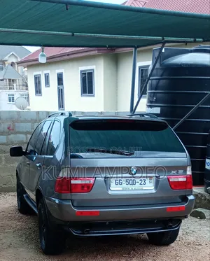 BMW X5 3.0i 2002 Gray