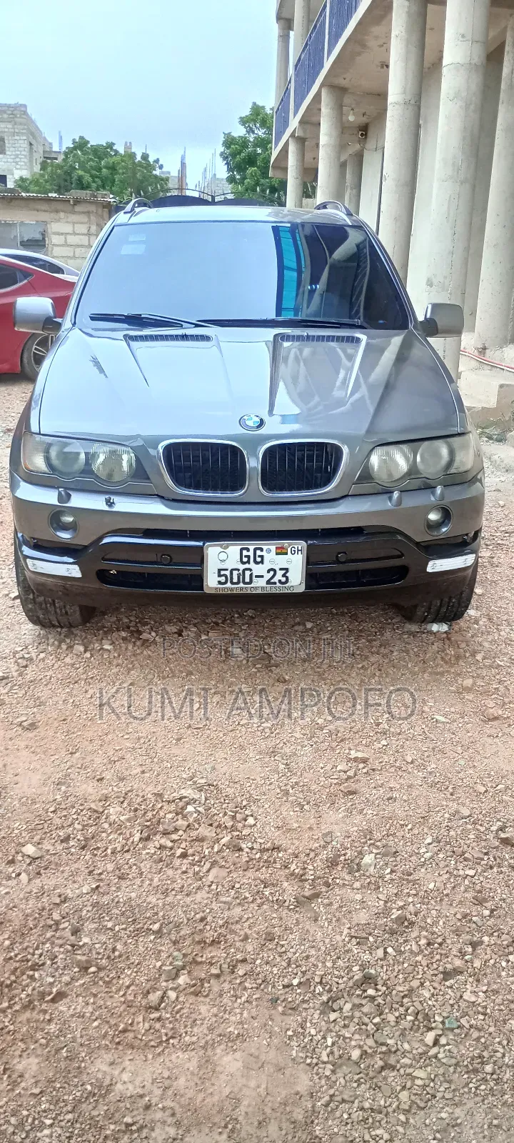 BMW X5 3.0i 2002 Gray
