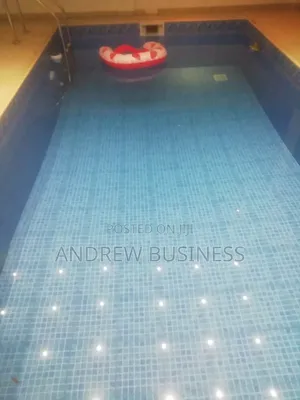 Swimming Pool Cleaning