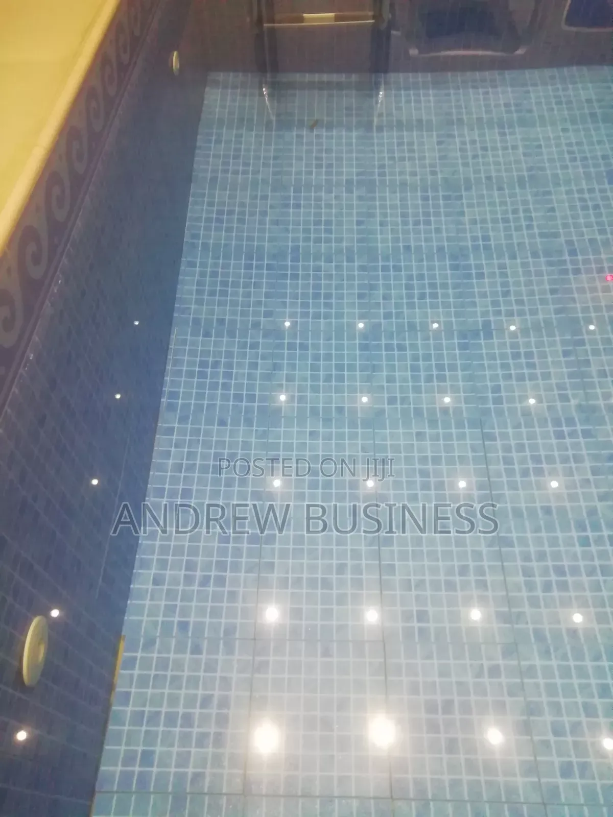 Swimming Pool Cleaning