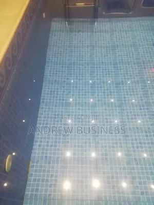 Swimming Pool Cleaning