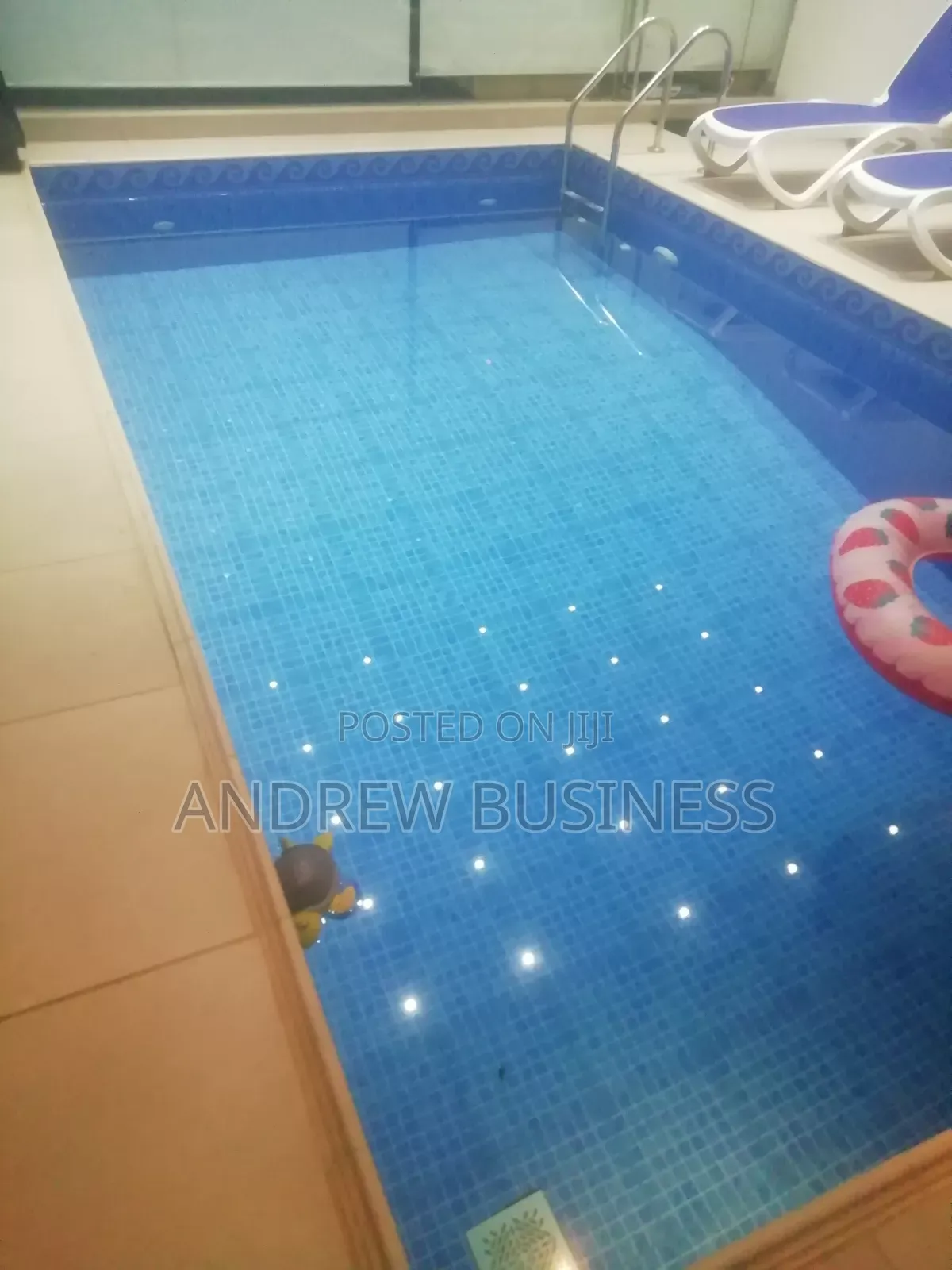 Swimming Pool Cleaning