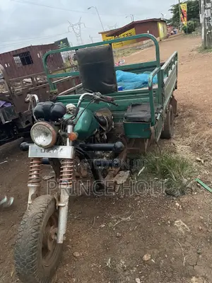 Luojia Cargo Tricycle 2021 Green