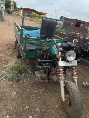 Luojia Cargo Tricycle 2021 Green