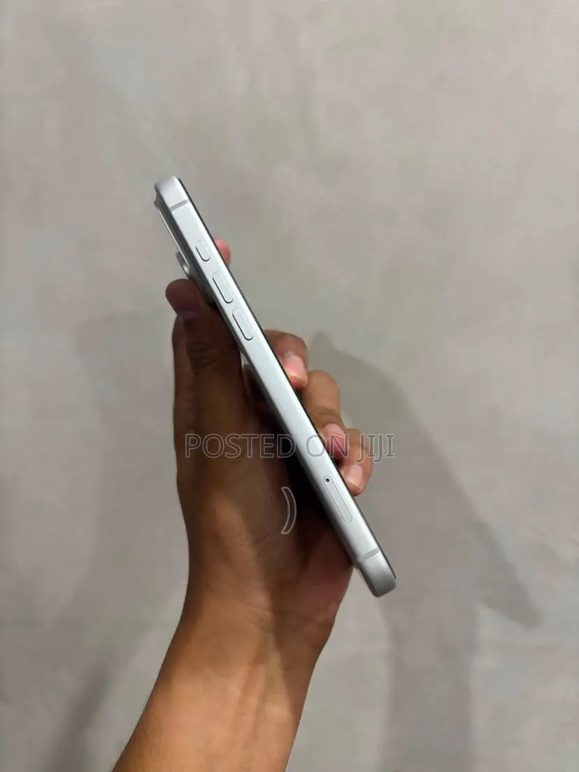 Apple iPhone 17 Pro Max 256 GB Silver