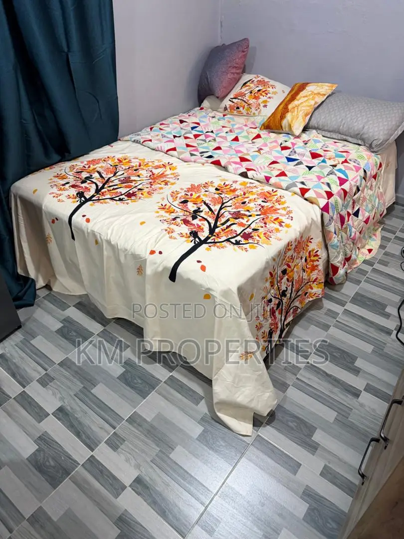 Furnished Studio Airbnb Near Achimota Golf-Hills